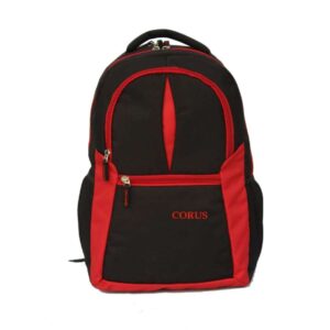 Laptop backpack for College, School and Corporate Office