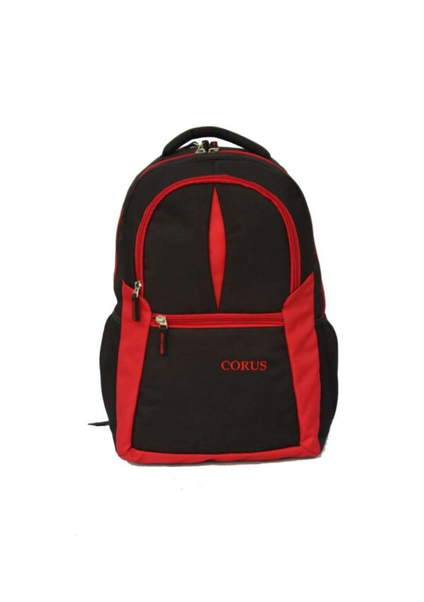 Laptop backpack for College, School and Corporate Office