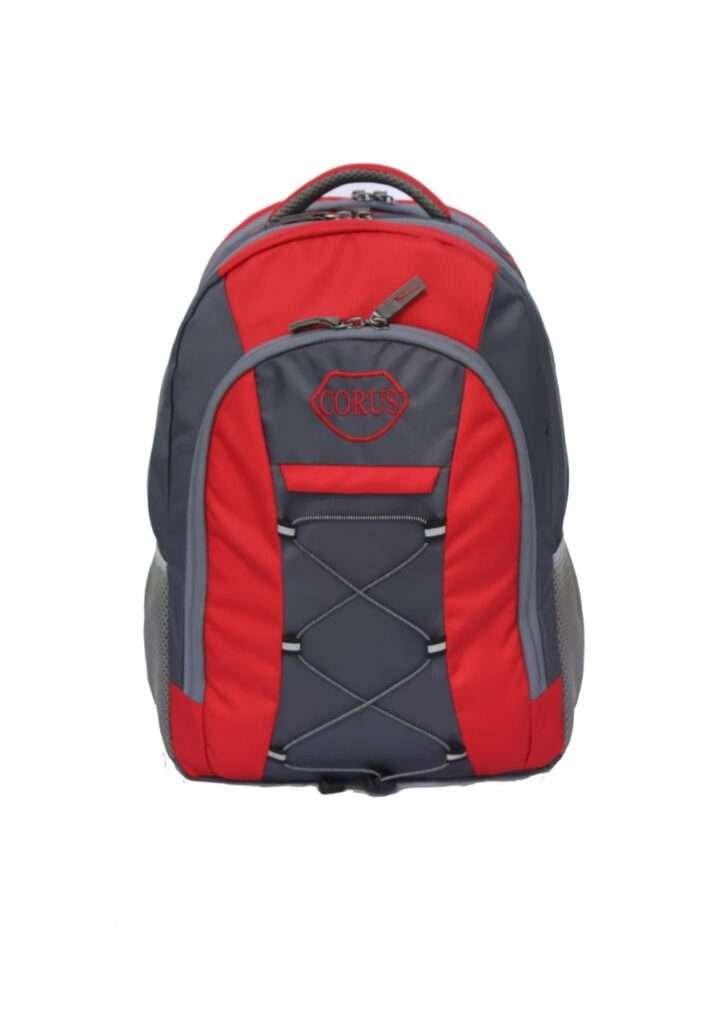 Trendy Sports Travel  Laptop Backpack in India