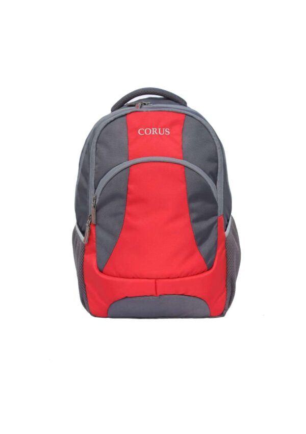 Traveling Laptop Backpack 35 Litres Supplier India﻿