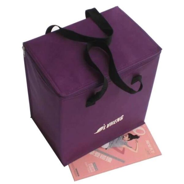 Thermal Insulated Frozen bags for Food delivery