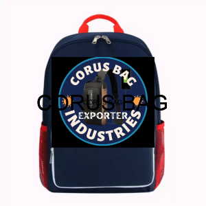 Manufacturer and Exporter of School bags in India Manufacturer and Exporter of School bags in India