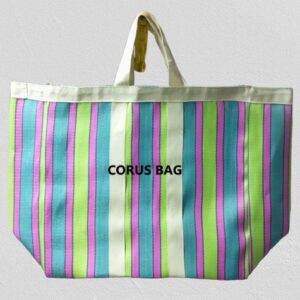 Recycle Nylon Shopping Bag in Delhi