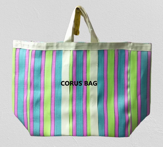 Recycle Nylon Shopping Bag in Delhi